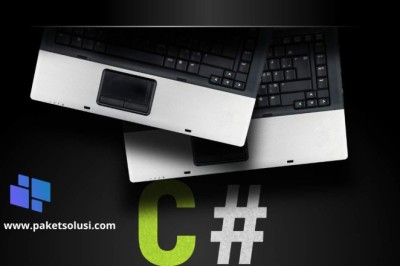 Top Programming Languages Every Software Engineer Should Learn in 2024